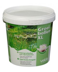 Supergroeibollen XL