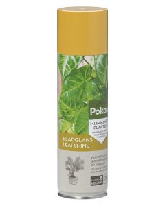 Pokon Bladglans 250ml