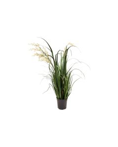 Kunstplant Rietgras crème H 74 cm